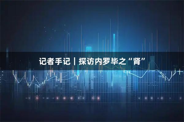 记者手记｜探访内罗毕之“肾”